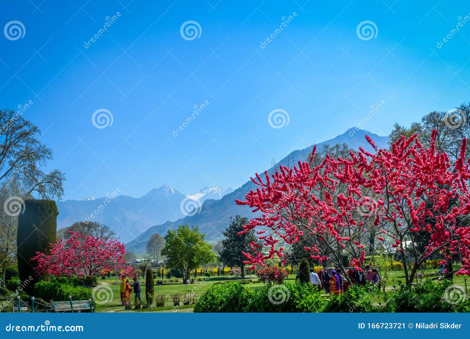 Shalimar Garden Landscape Srinagar India Stock Image Image Of