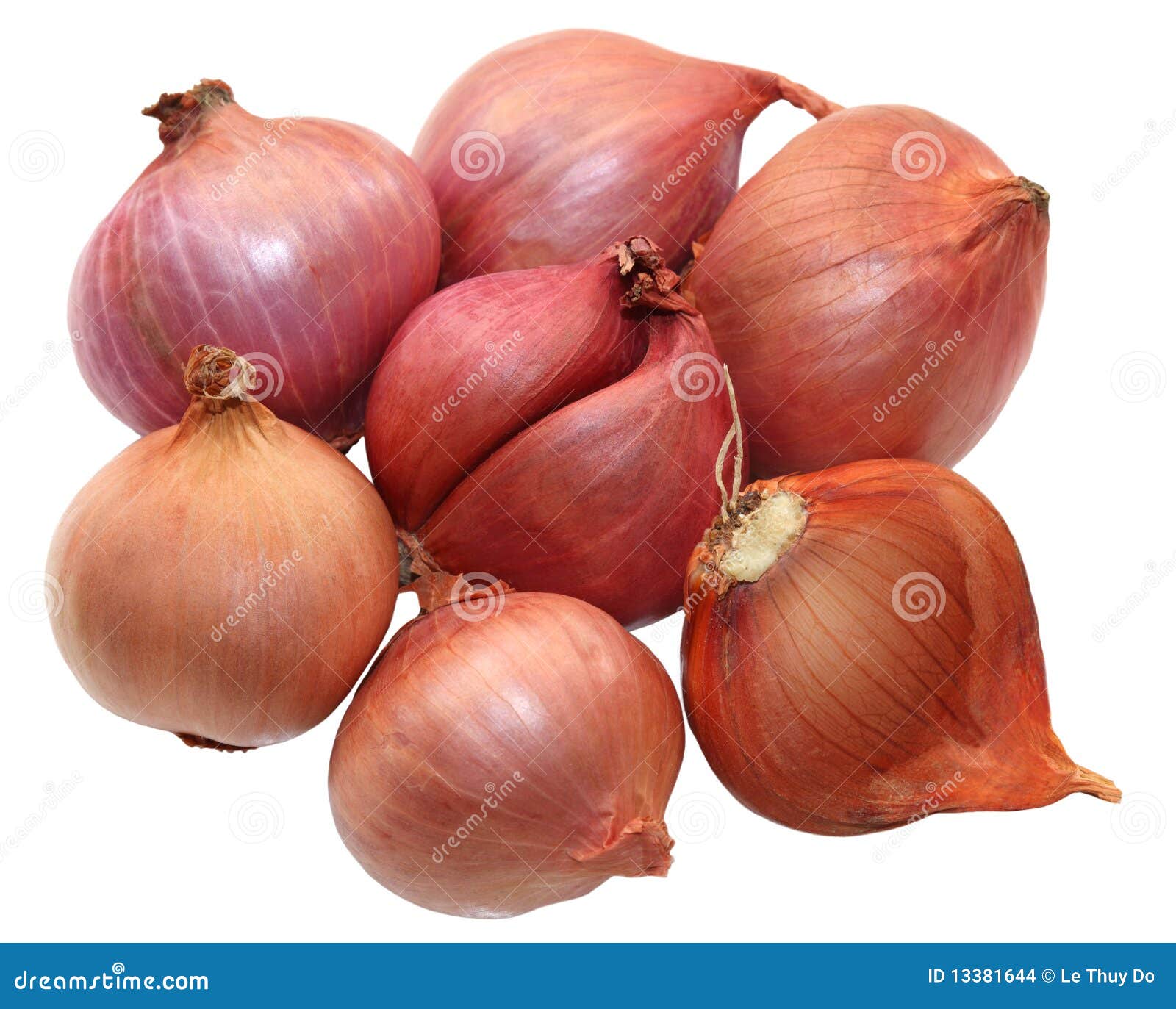 Shallot PNG Transparent Images Free Download, Vector Files