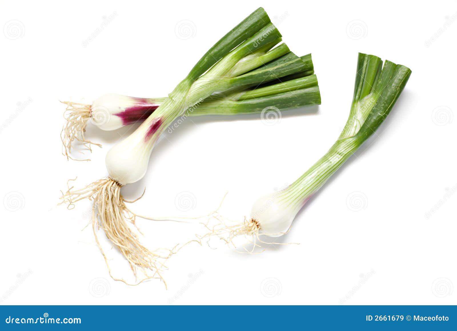 Shallot stock image. Image of vegetable, aromatic, freshness 2661679