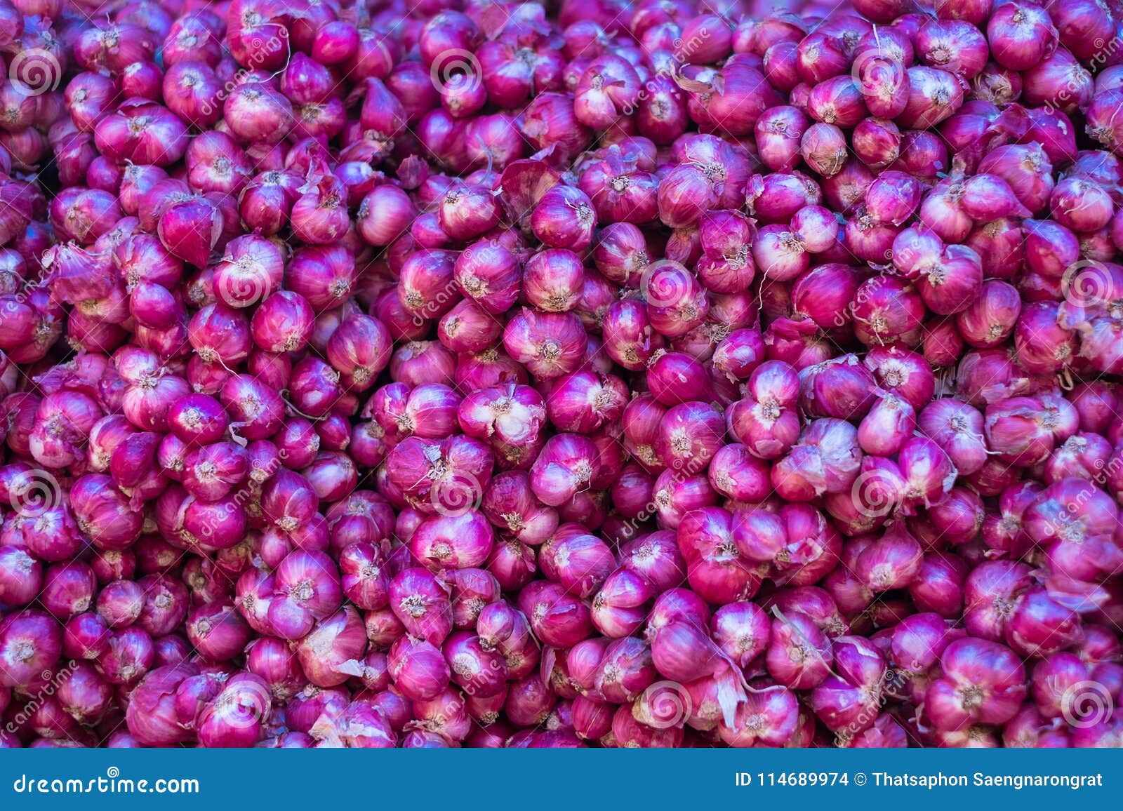 shallot or allium ascalonicum l. in local market. allicin and n-