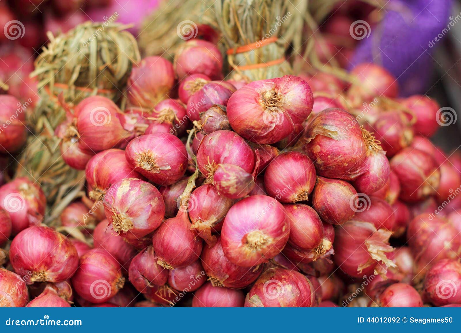Shallot Asia Red Onion in the Market Stock Photo Image of asia