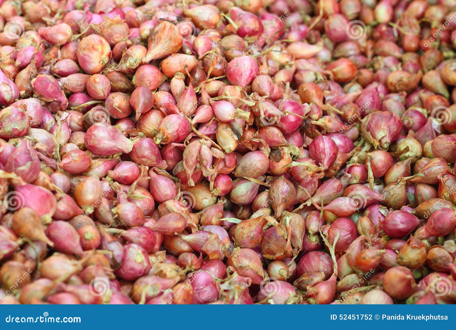 Shallot Asia Red Onion in the Market Stock Photo Image of