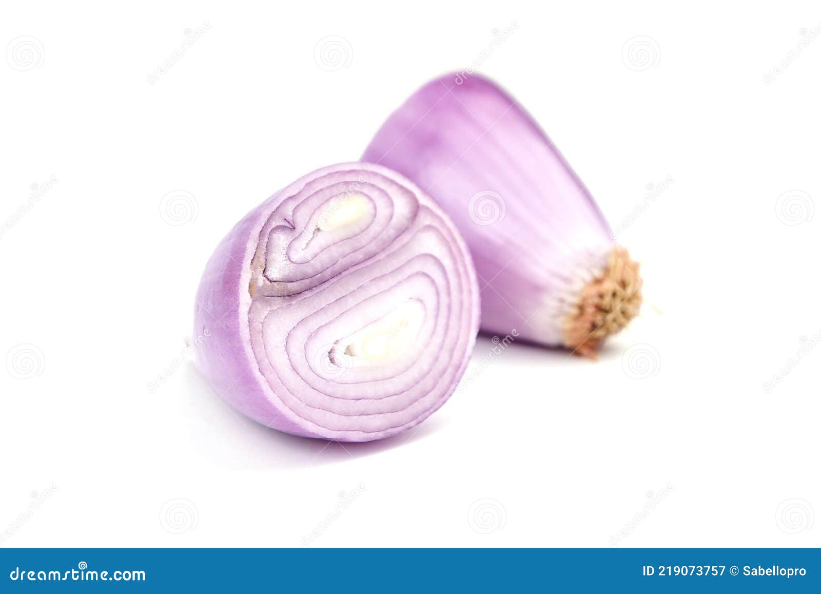 Echalion Shallots Stock Photos - Free & Royalty-Free Stock Photos from  Dreamstime