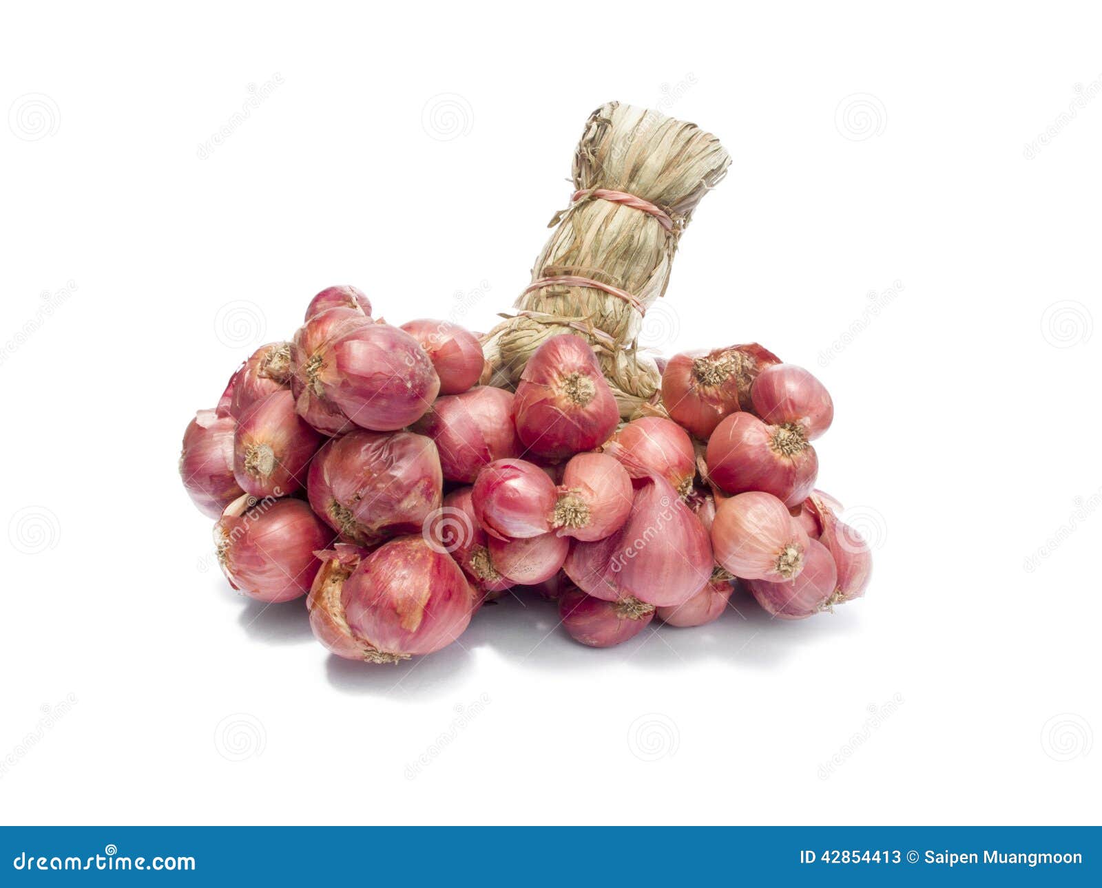 Shallot onions stock image. Image of asian, root, macro 42854413