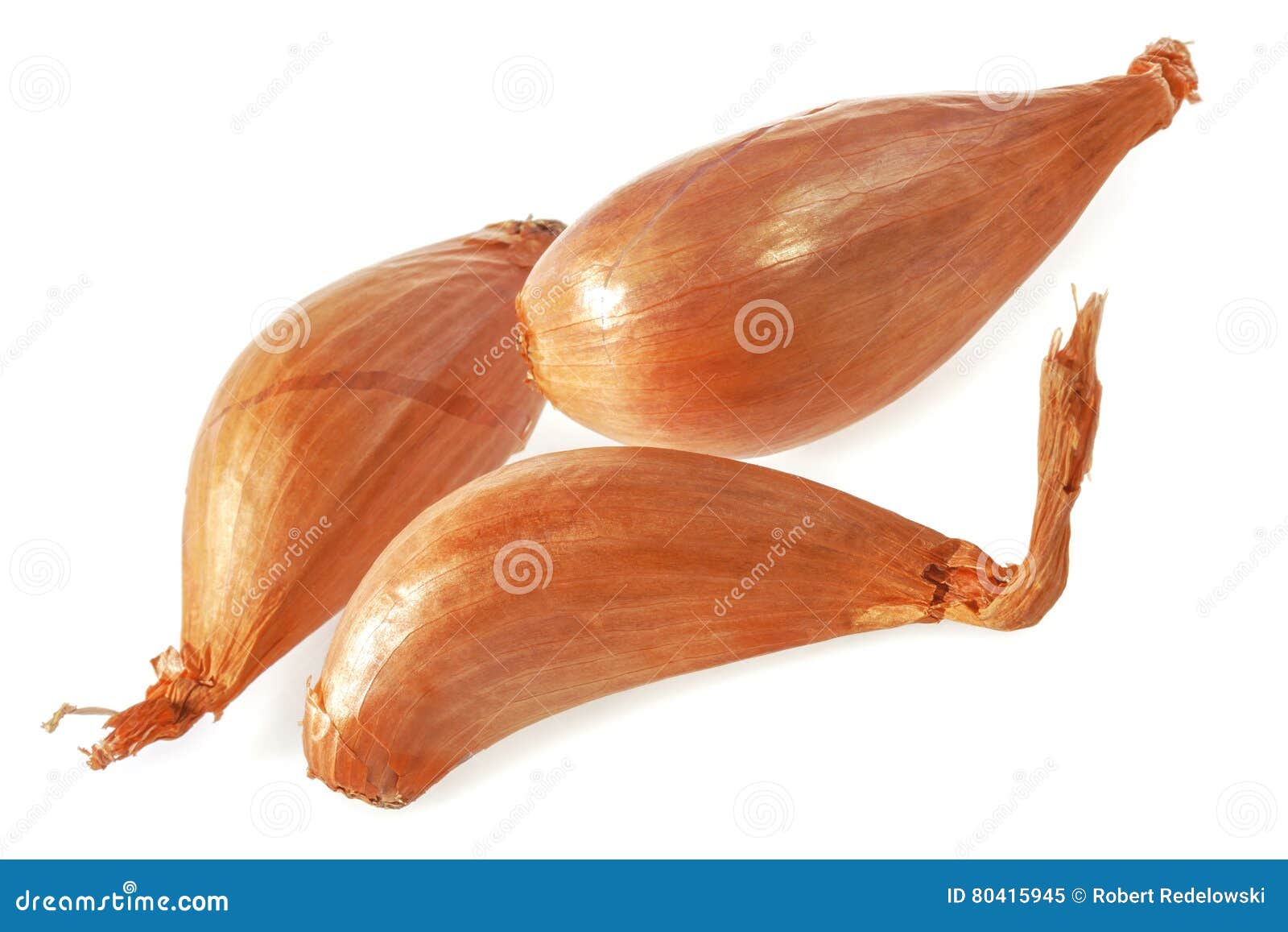 Big Shallots Stock Photos - Free & Royalty-Free Stock Photos from Dreamstime