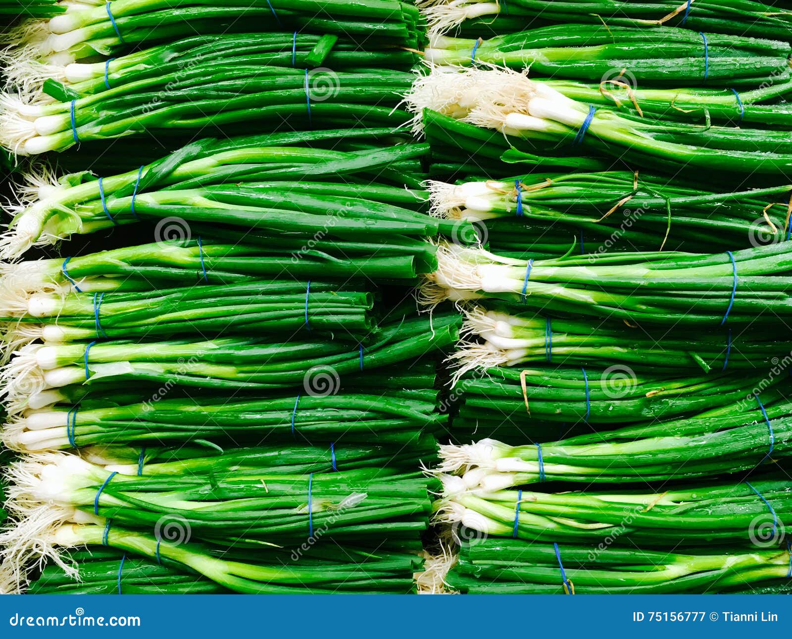 Shallot in the supermarket stock image. Image of market 75156777