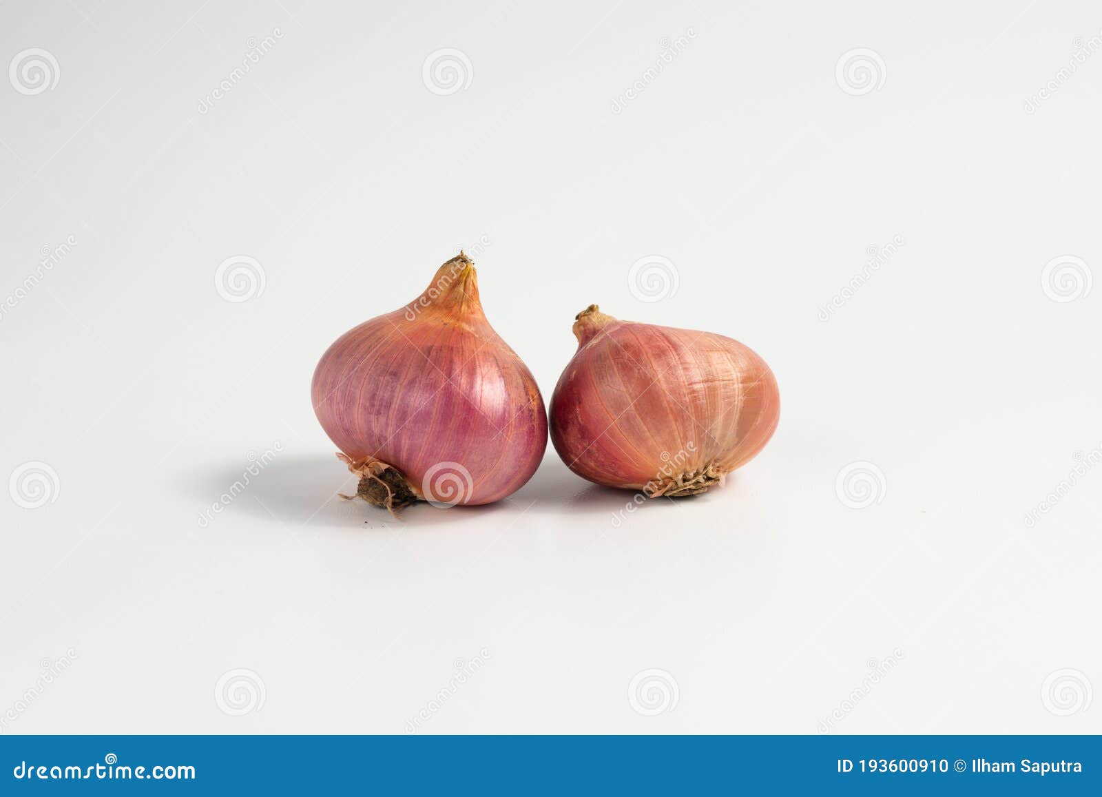 Shallots Onion Isolated on White Background, Bulbs Stock Photo Image
