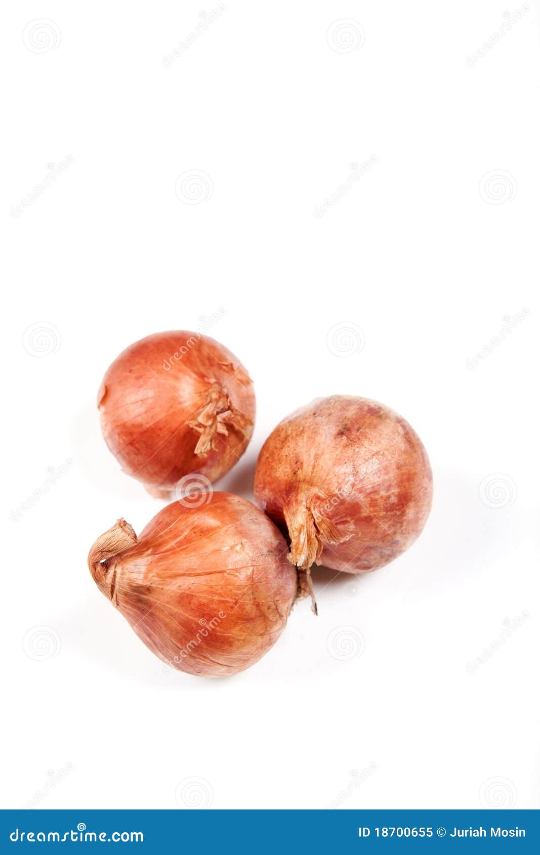 Shallots onion over white stock image. Image of agriculture 18700655