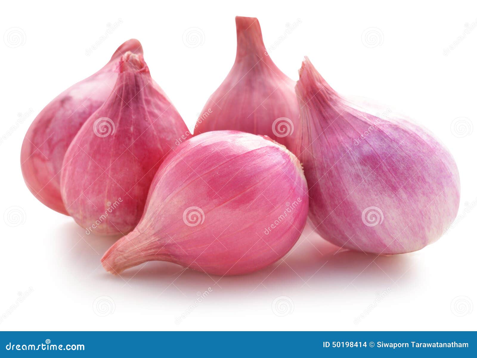 Shallots, Raw and Uncooked on White Background Stock Photo Image of