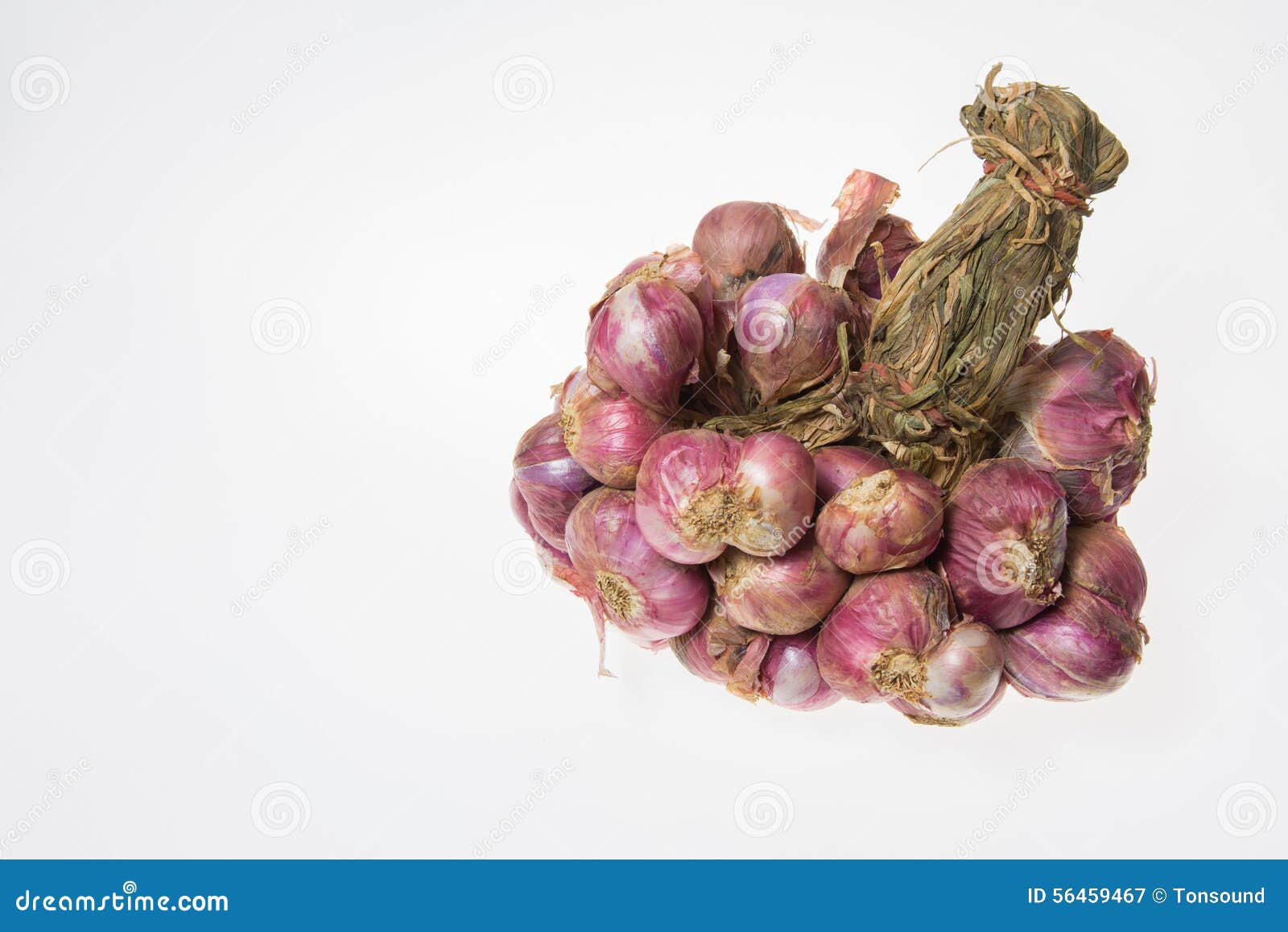 Shallots stock image. Image of shallot, rings, seasoning 56459467