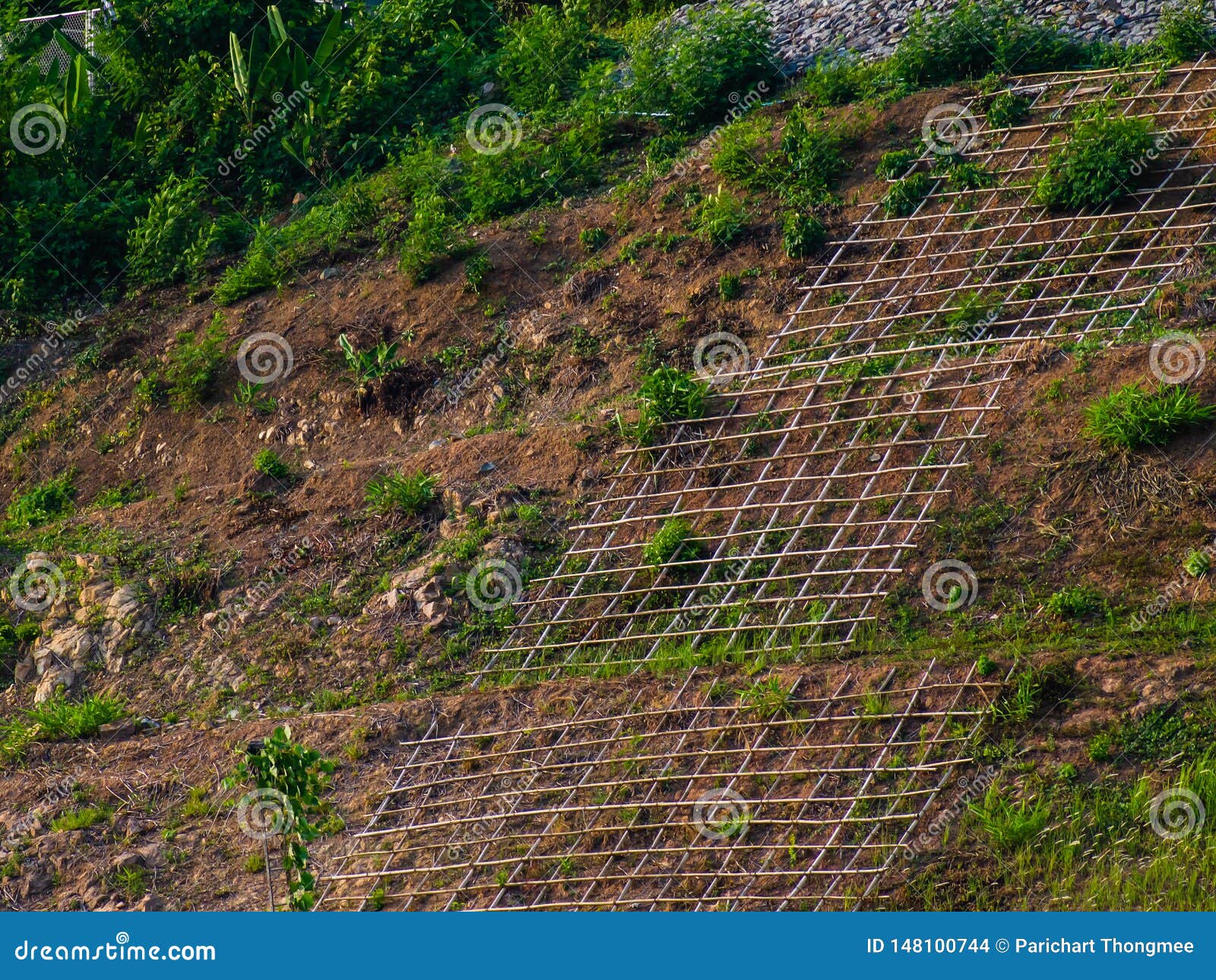 preserving nature's beauty: shallow cellular confinement system for slope erosion prevention