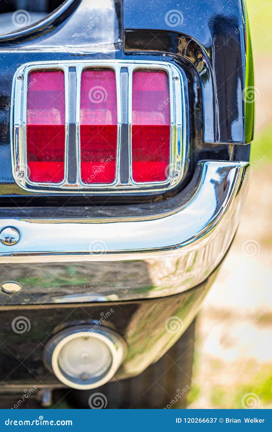 1965 mustang sale tail lights