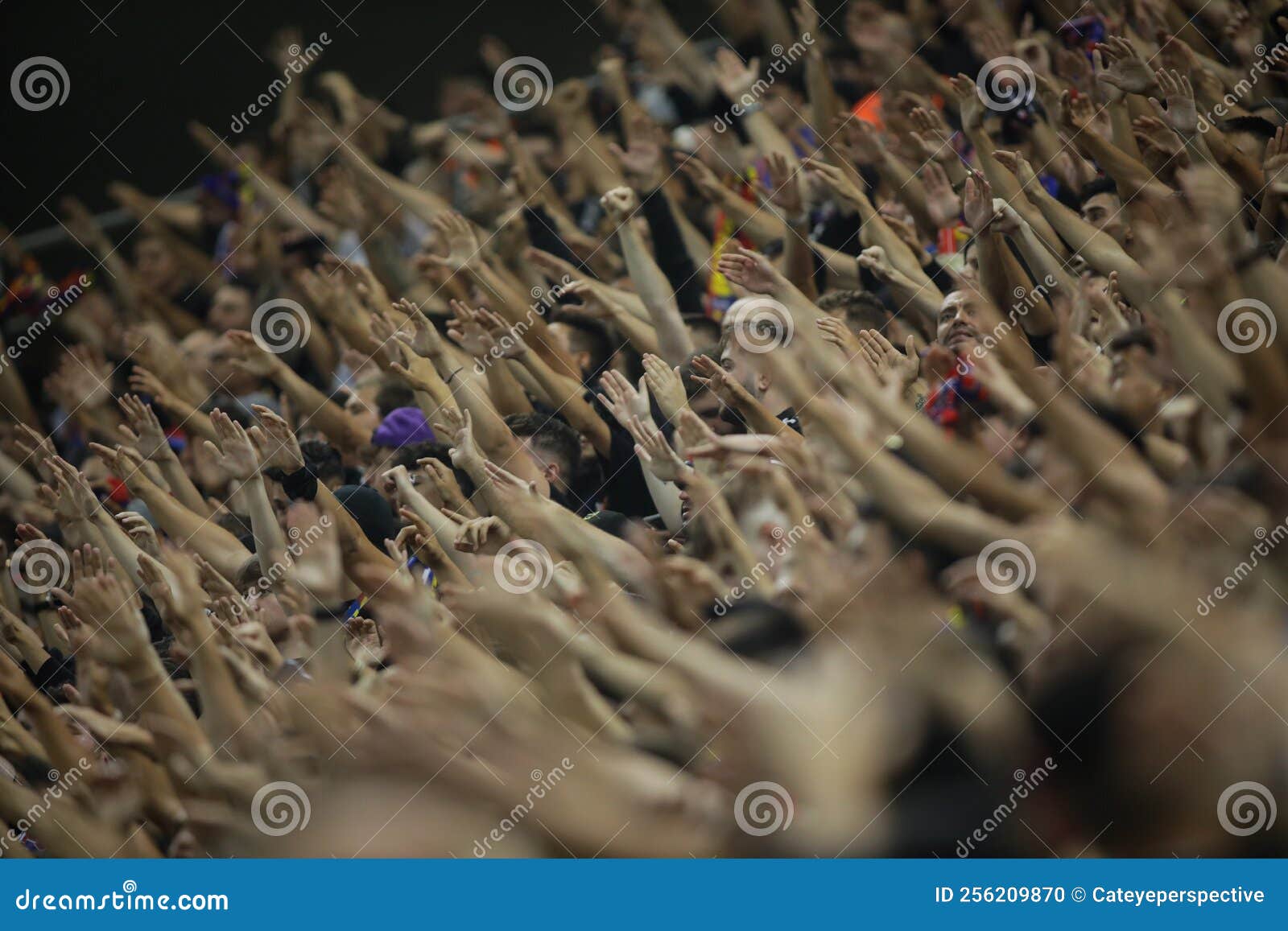 Shallow Depth of Field Selective Focus Details with FCSB Fotbal Club Steaua  Bucuresti Supporters during a Football Match Editorial Image - Image of  event, hooligan: 256209870