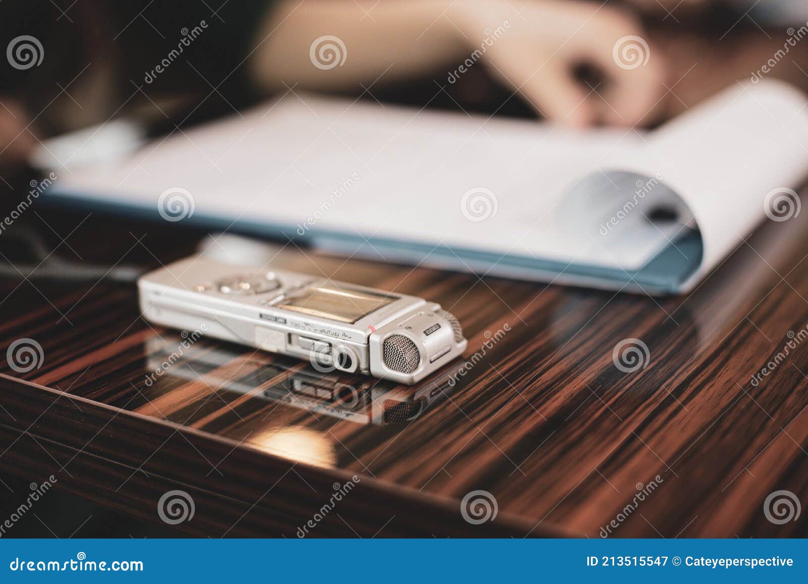 Shallow Depth of Field Selective Focus Image with an Audio Recorder of