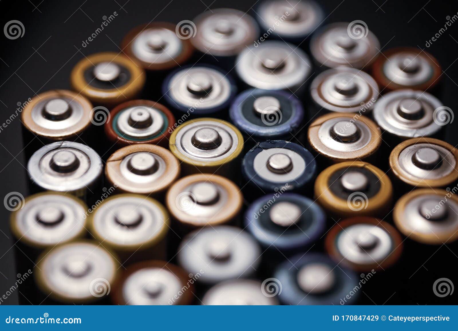 Shallow Depth of Field Selective Focus and Macro Image with the