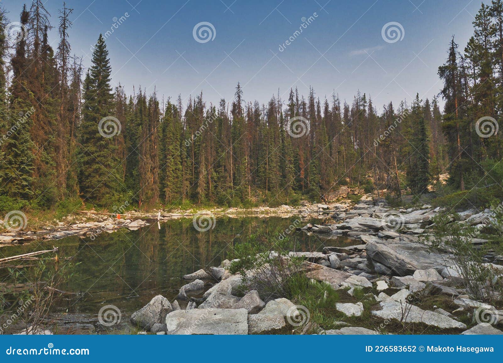 The Shallow of Horseshoe Lake. Jasper AB Canada Stock Photo Image of