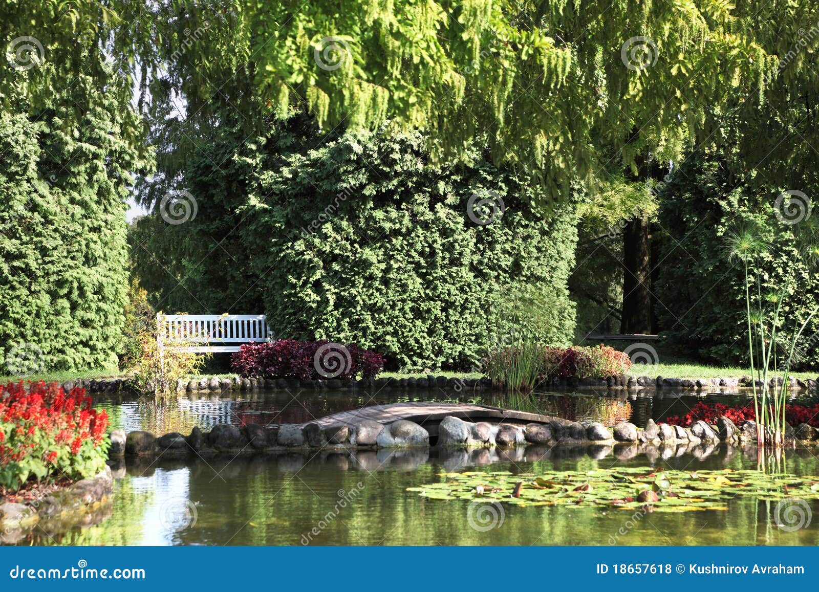 Shallow pond stock photo. Image of italy, spring, foliage 18657618