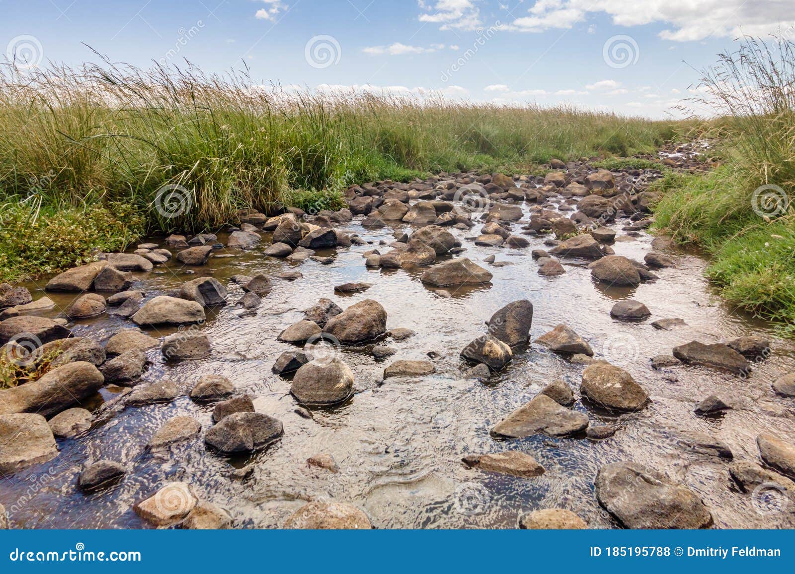 shallow  river daliyot flowing near the remnants of the early bronze age megalithic complex of the early bronze age  - wheels of
