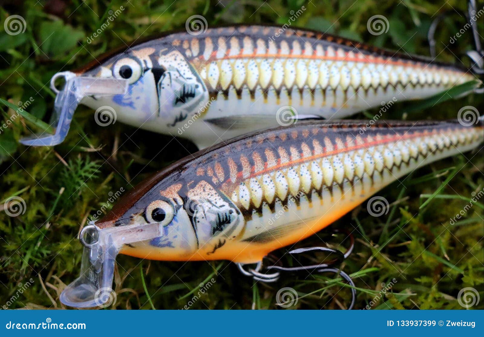 Fishing Lures Plugs Rapala Shallow Shad Raps Stock Image - Image