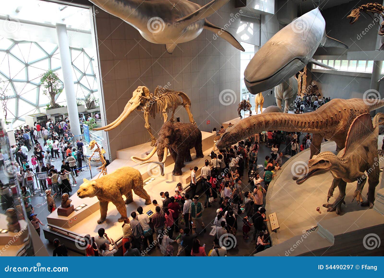 Shanghai Natural Wild Insect Kingdom China Editorial Image 7-facts-about-shanghai-natural-history-museum-chinatripedia