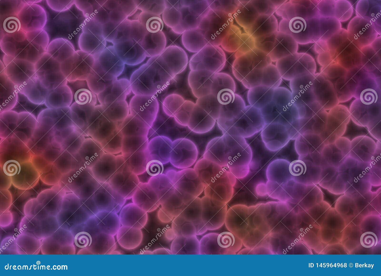 Shape of Bacterial Cell Cocci, Bacilli, Spirilla Bacteria Stock Photo