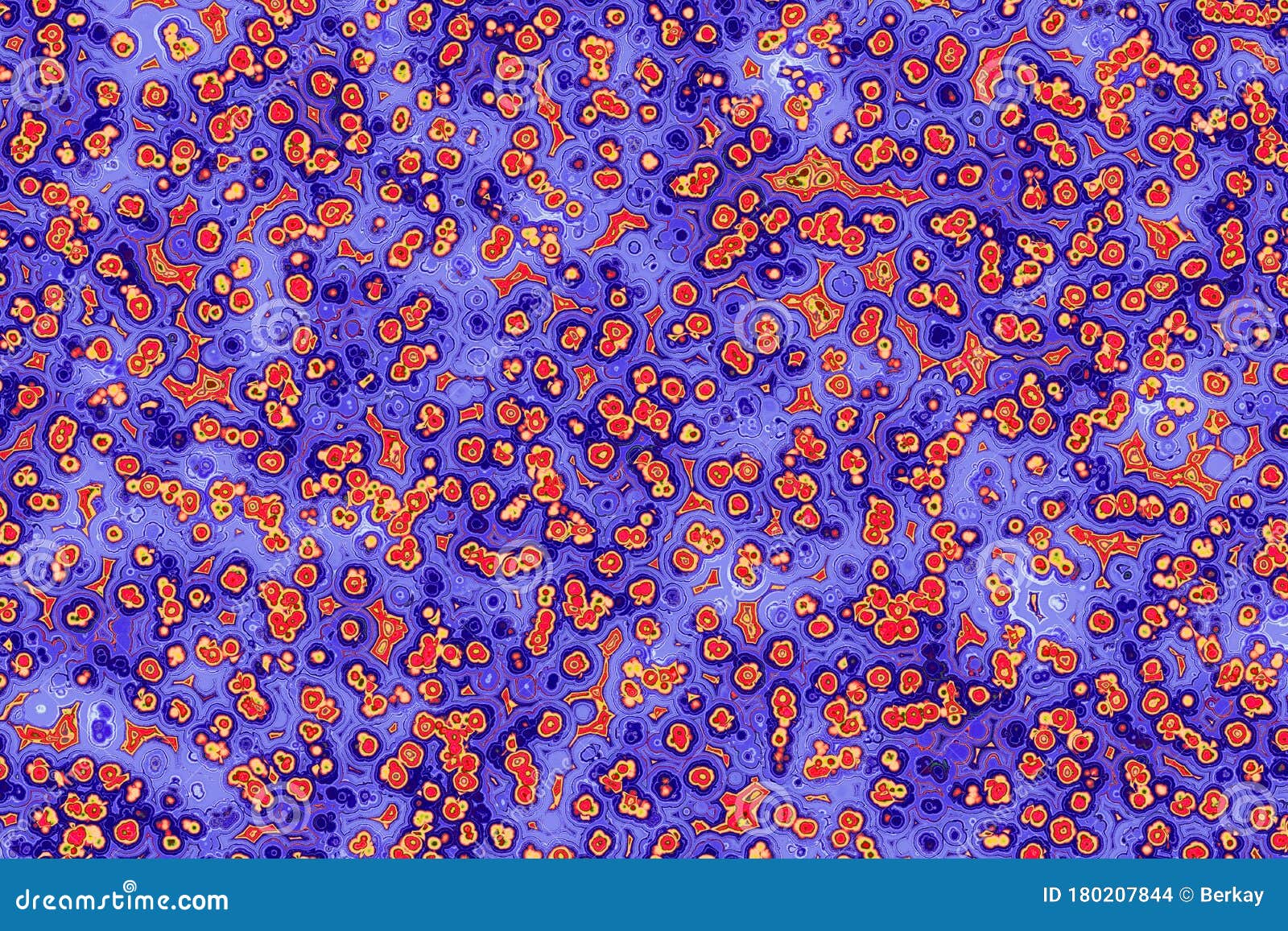 Shape Of Bacterial Cell: Cocci, Bacilli, Spirilla Bacteria Stock ...