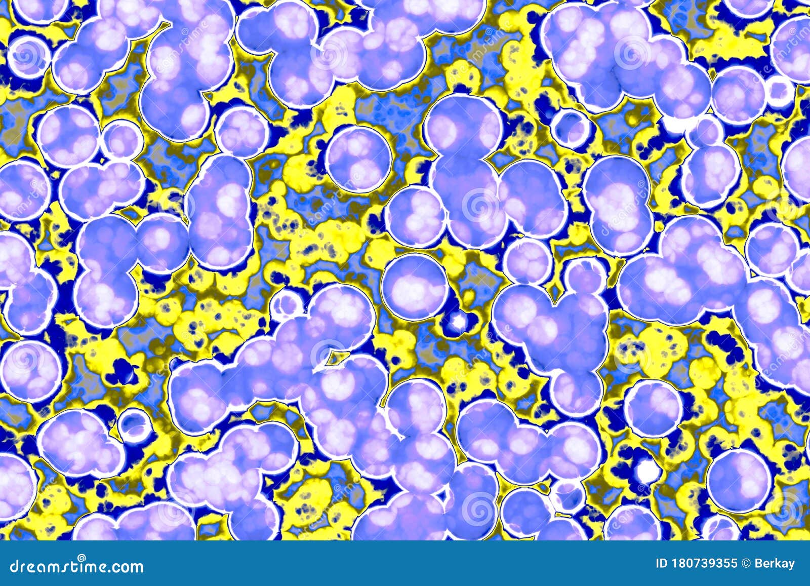 Shape of Bacterial Cell Cocci, Bacilli, Spirilla Bacteria Stock Image
