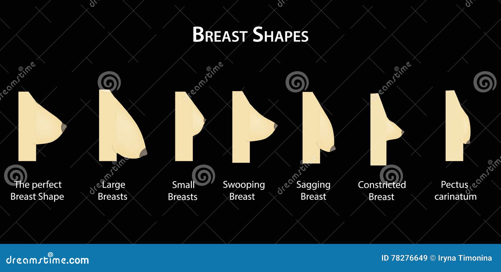 Shape the Breast. Vector Illustration on a Black Background Stock
