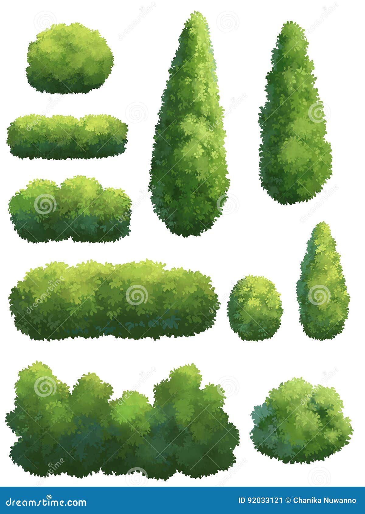 The Shape Of The Tree In The Garden. Stock Illustration - Illustration