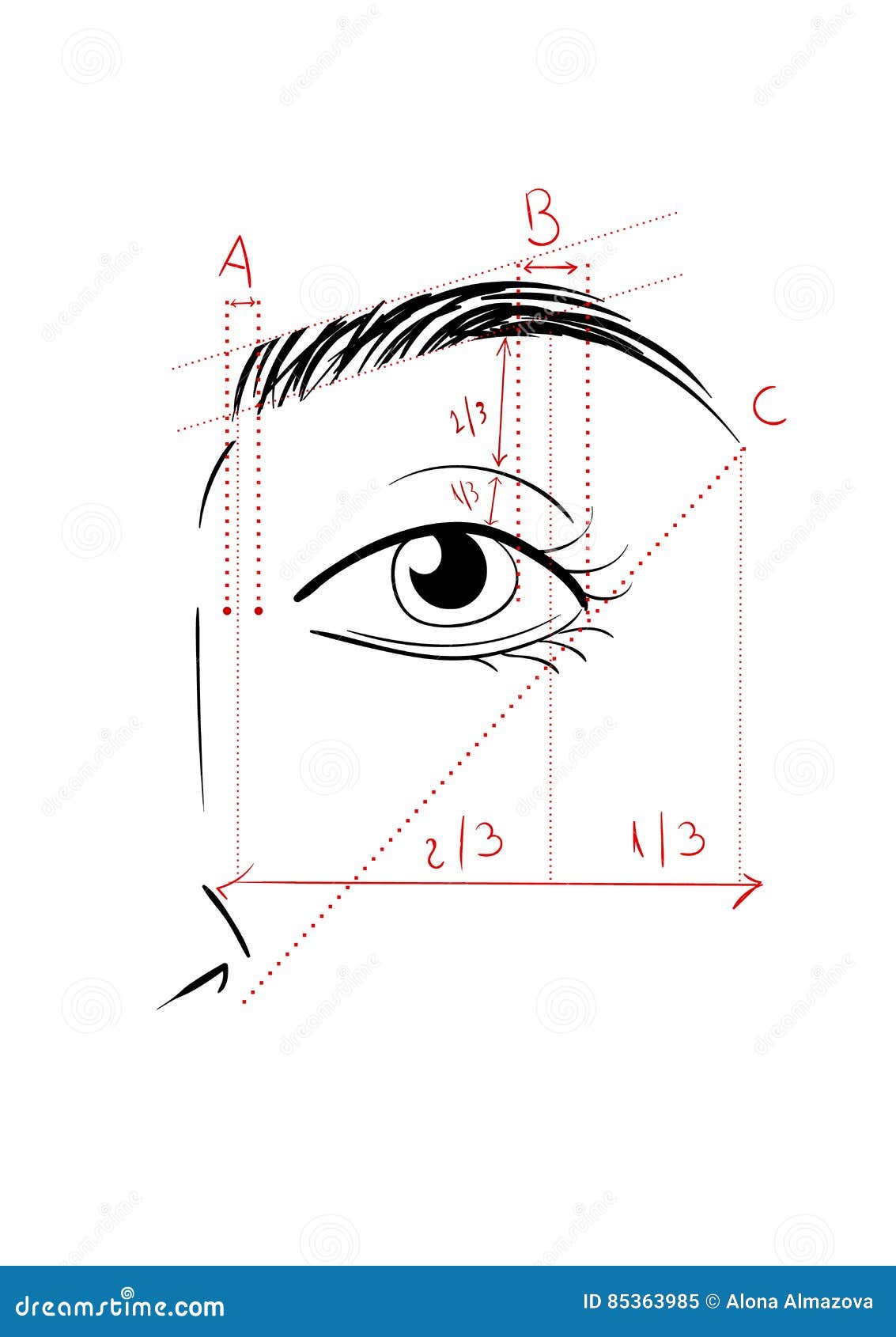 shaping the eyebrows