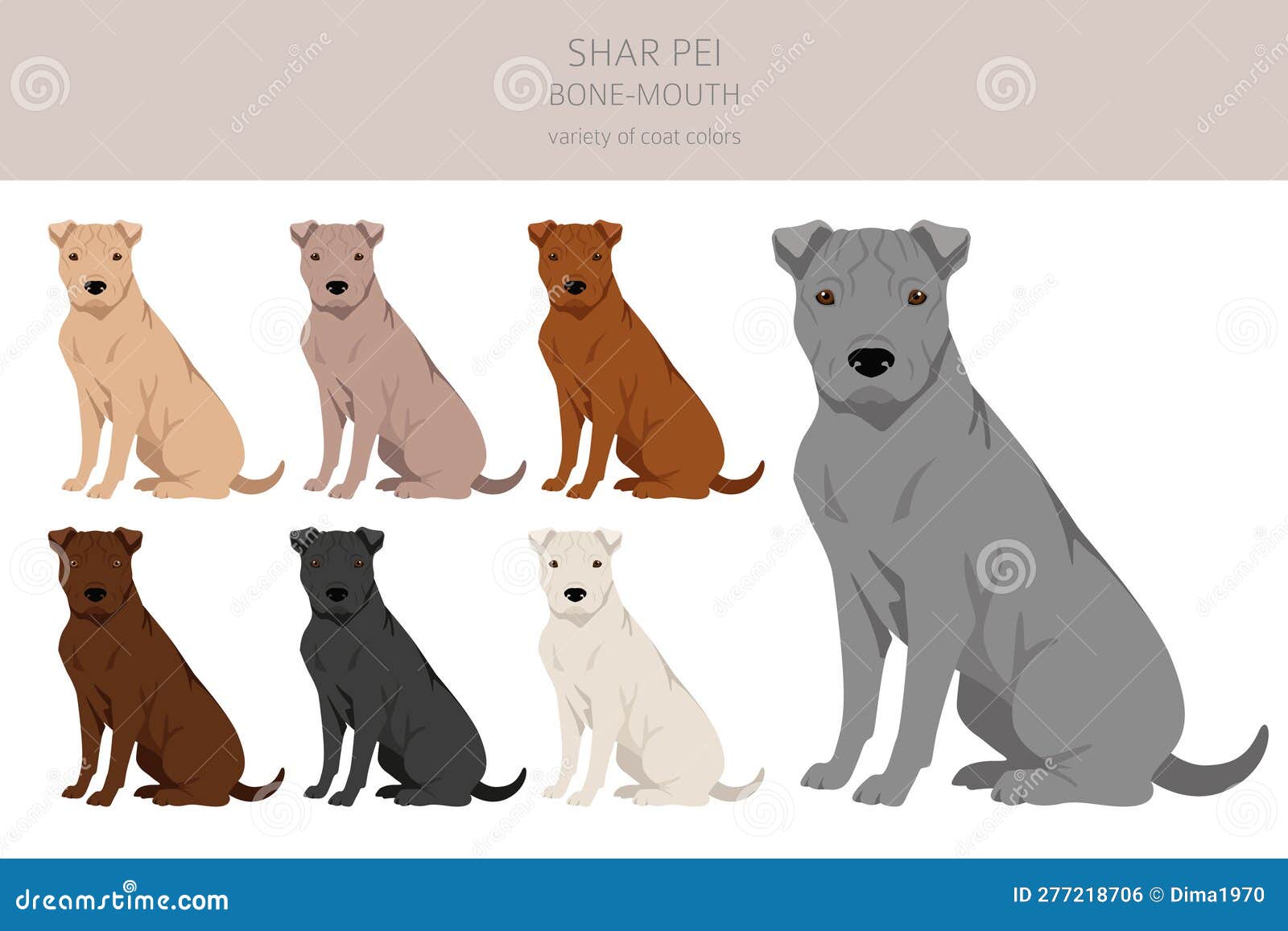 Shar Pei Bone Mouth Clipart. Different Poses, Coat Colors Set Stock ...