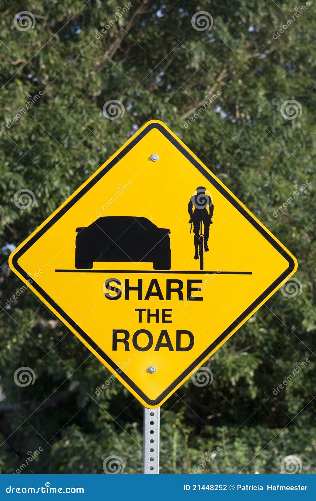 Share the road stock photo. Image of sign, symbol, direction - 21448252