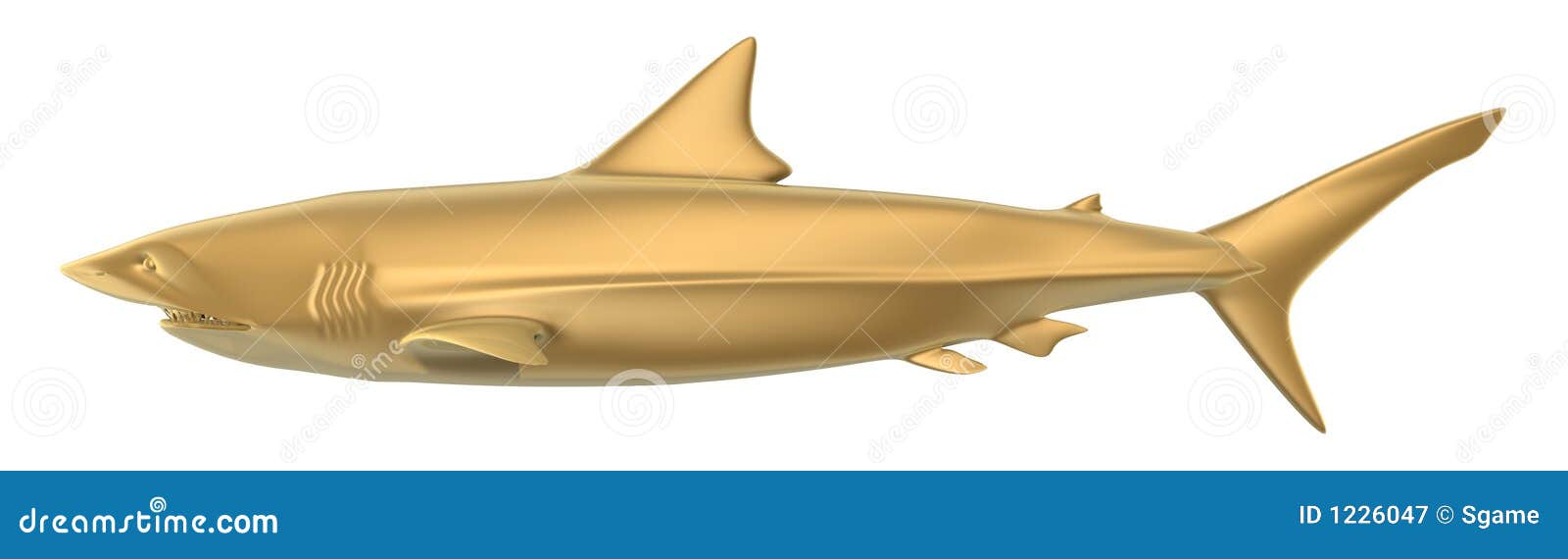 Shark Royalty Free Stock Photography - Image: 1226047
