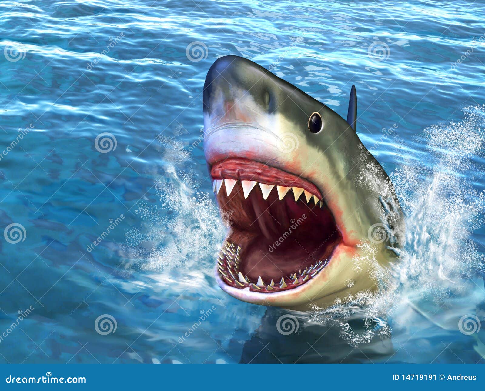 Shark Attack - Download