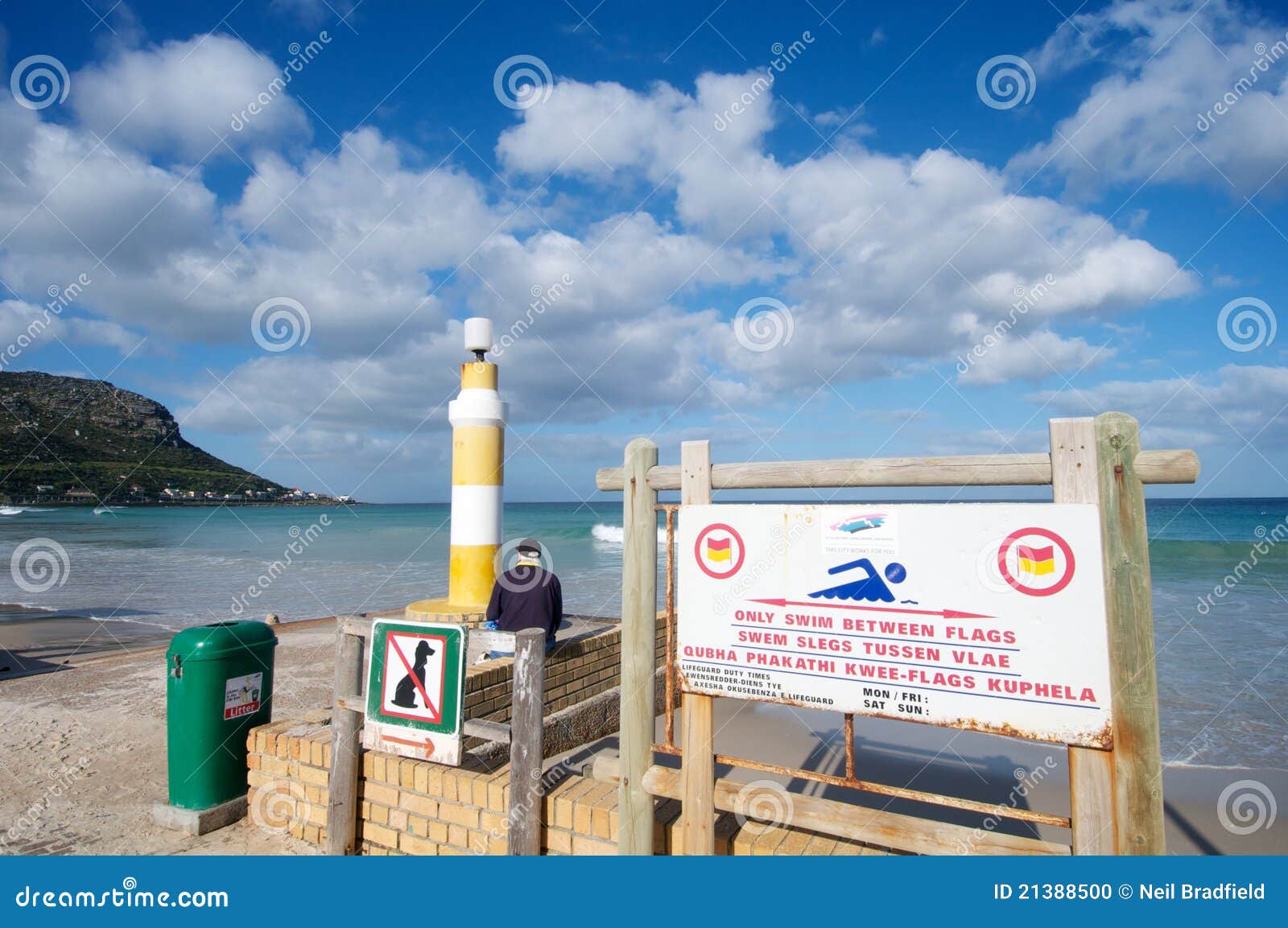Shark Attack Beach editorial image. Image of ocean, coastline - 21388500