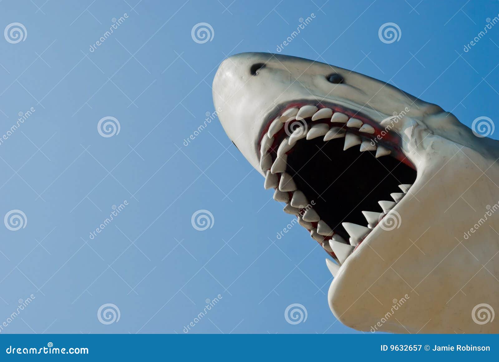 444 Shark Ai Stock Photos - Free & Royalty-Free Stock Photos from Dreamstime