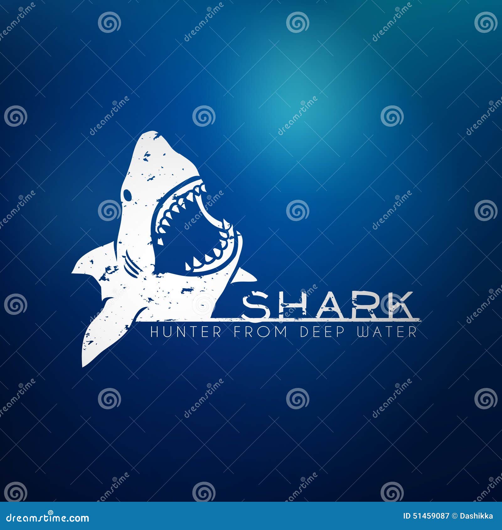 shark concept