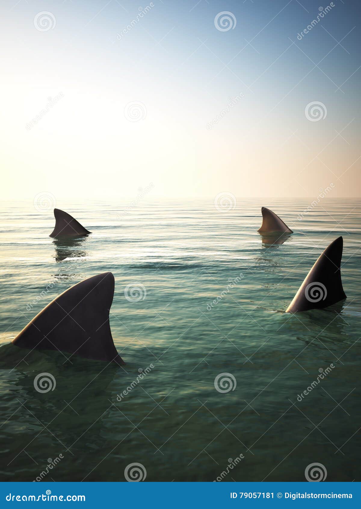 shark fins circling above the ocean water.