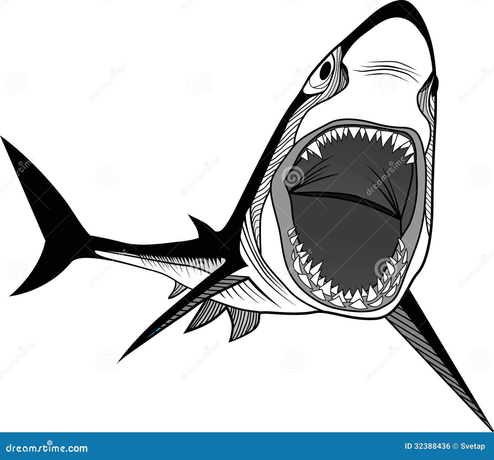 Premium Vector | Great white shark logo monochrome design