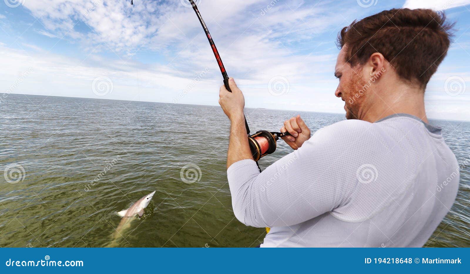 Shark Fishing Big Game Spinner Shark Biting Bait Man Fisher Reeling in  Animal in Catch and Release Sports Activity on Stock Photo - Image of reef,  gamefishing: 194218648