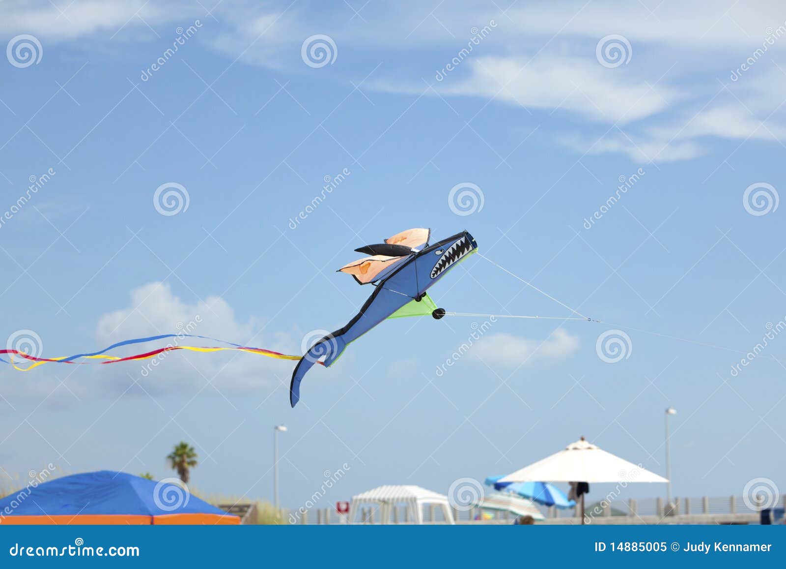 Shark kite at the beach stock image. Image of outdoors 14885005