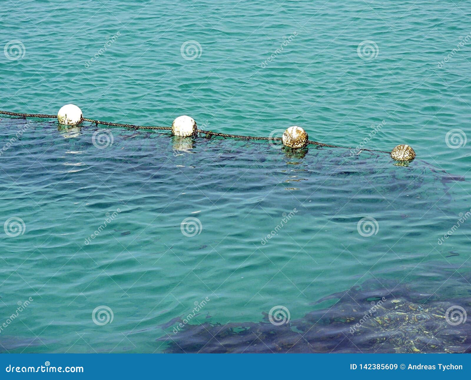 Shark Net Submerged in Deep Water Stock Image - Image of angled, deep ...