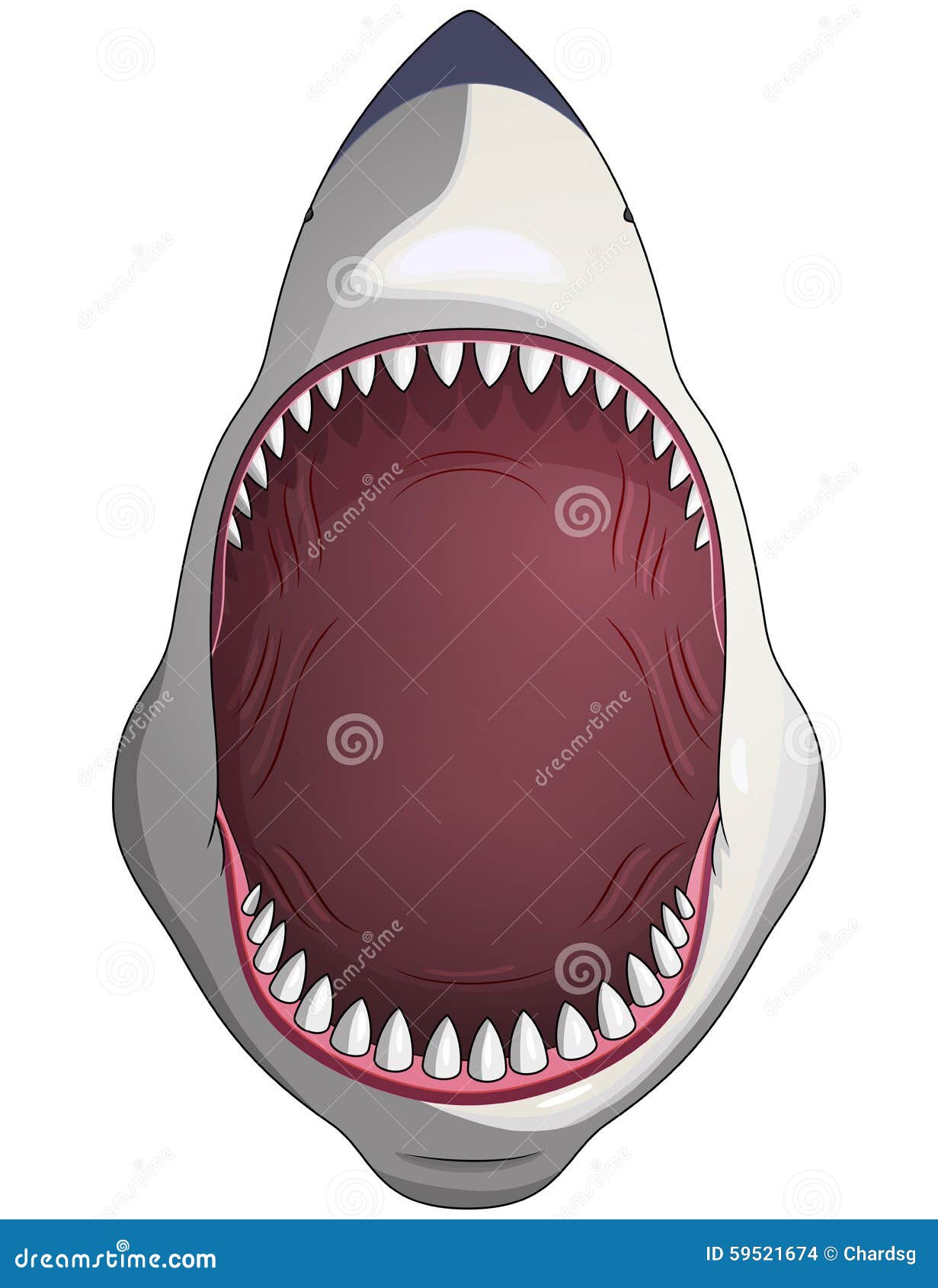 Free Free Shark Mouth Open Svg 815 SVG PNG EPS DXF File