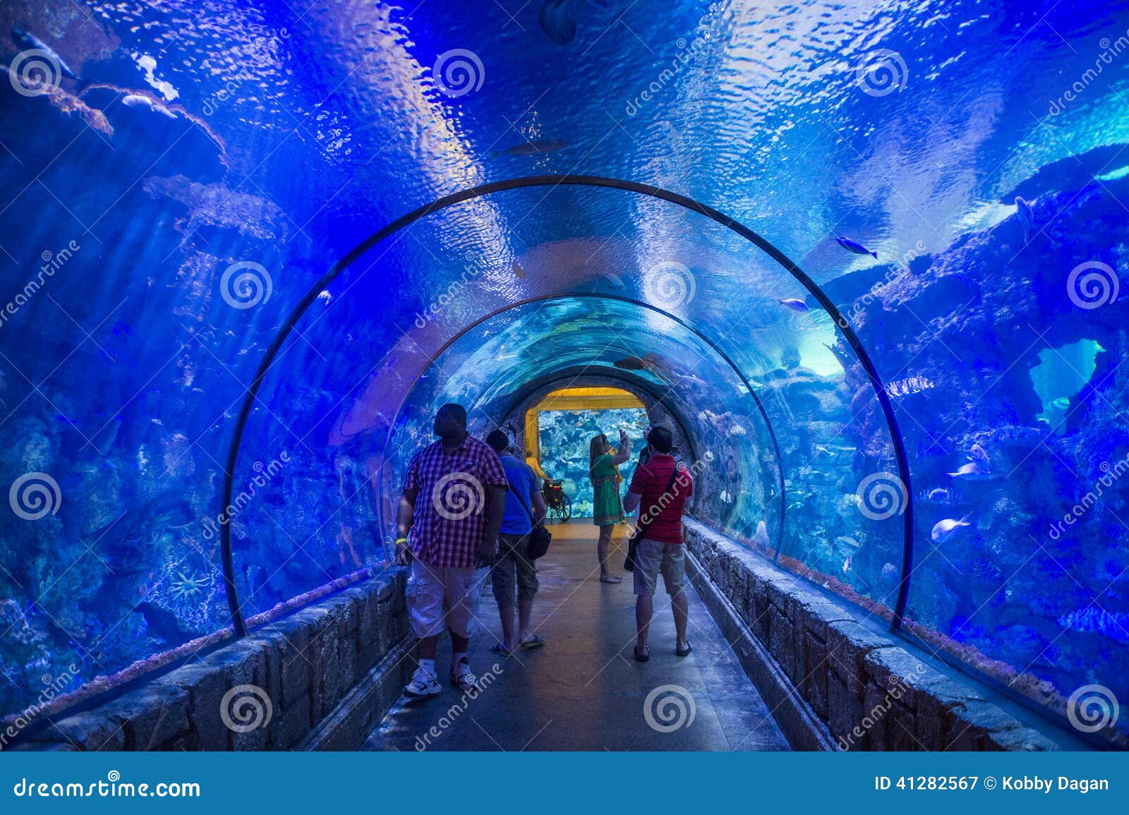 Shark Reef Aquarium at Mandalay Bay