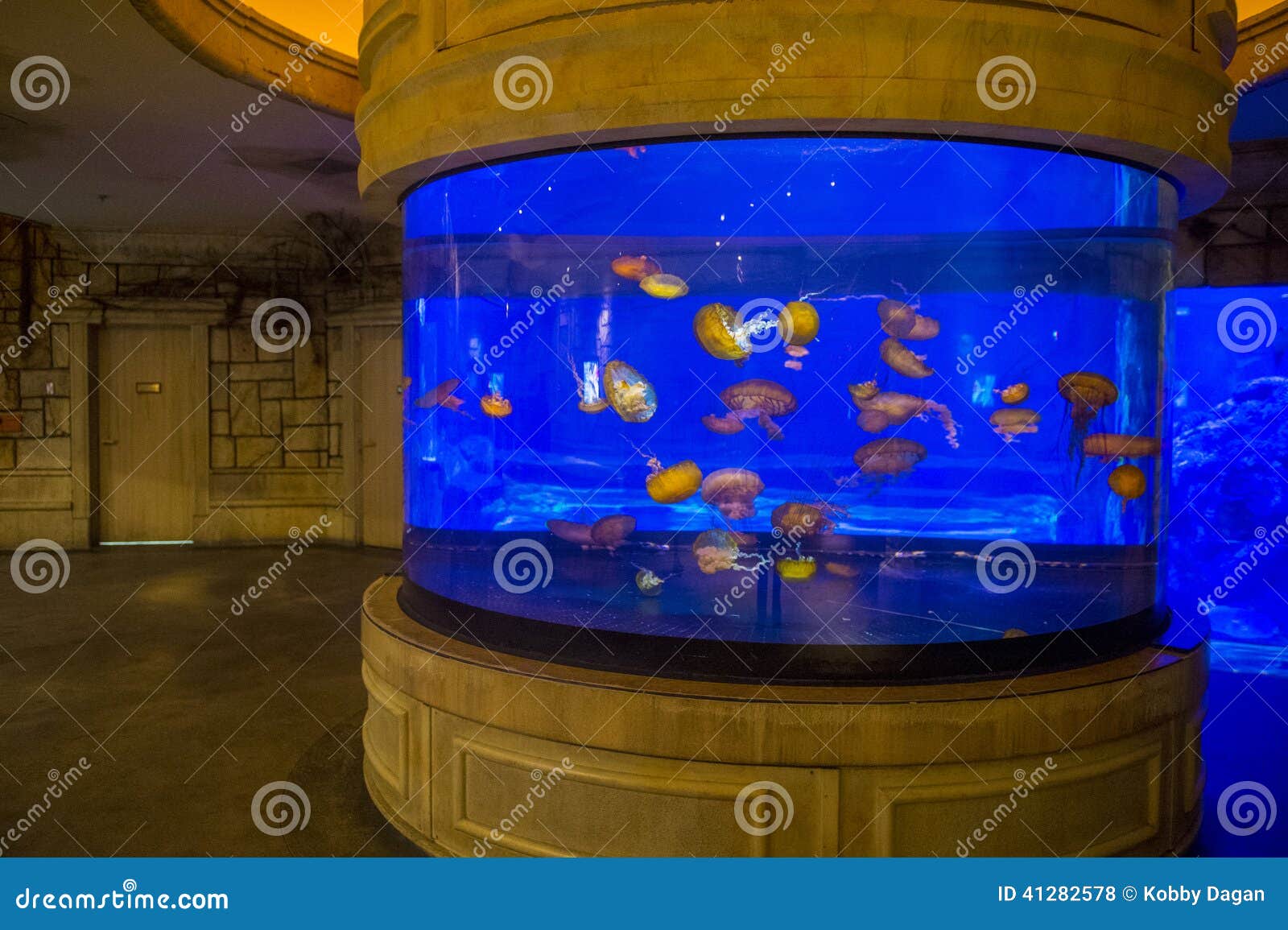 LAS VEGAS - MAY 12 : The Shark Reef Aquarium At Mandalay Bay Hotel