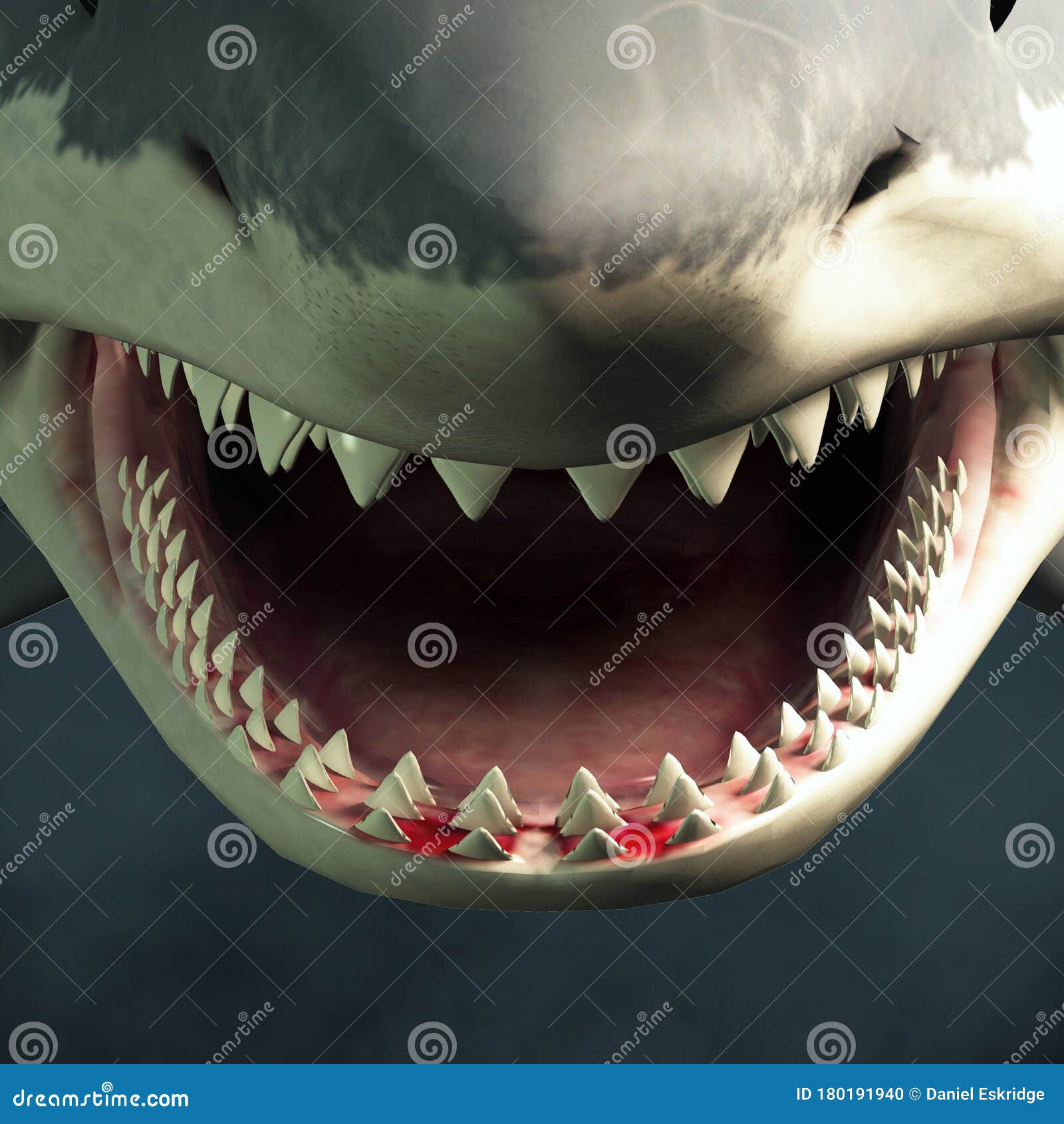 Megalodon Shark Realistic Open Mouth Shark Drawing - Nakiroe