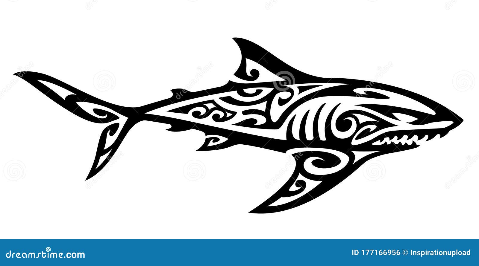 polynesian tribal shark  black and white
