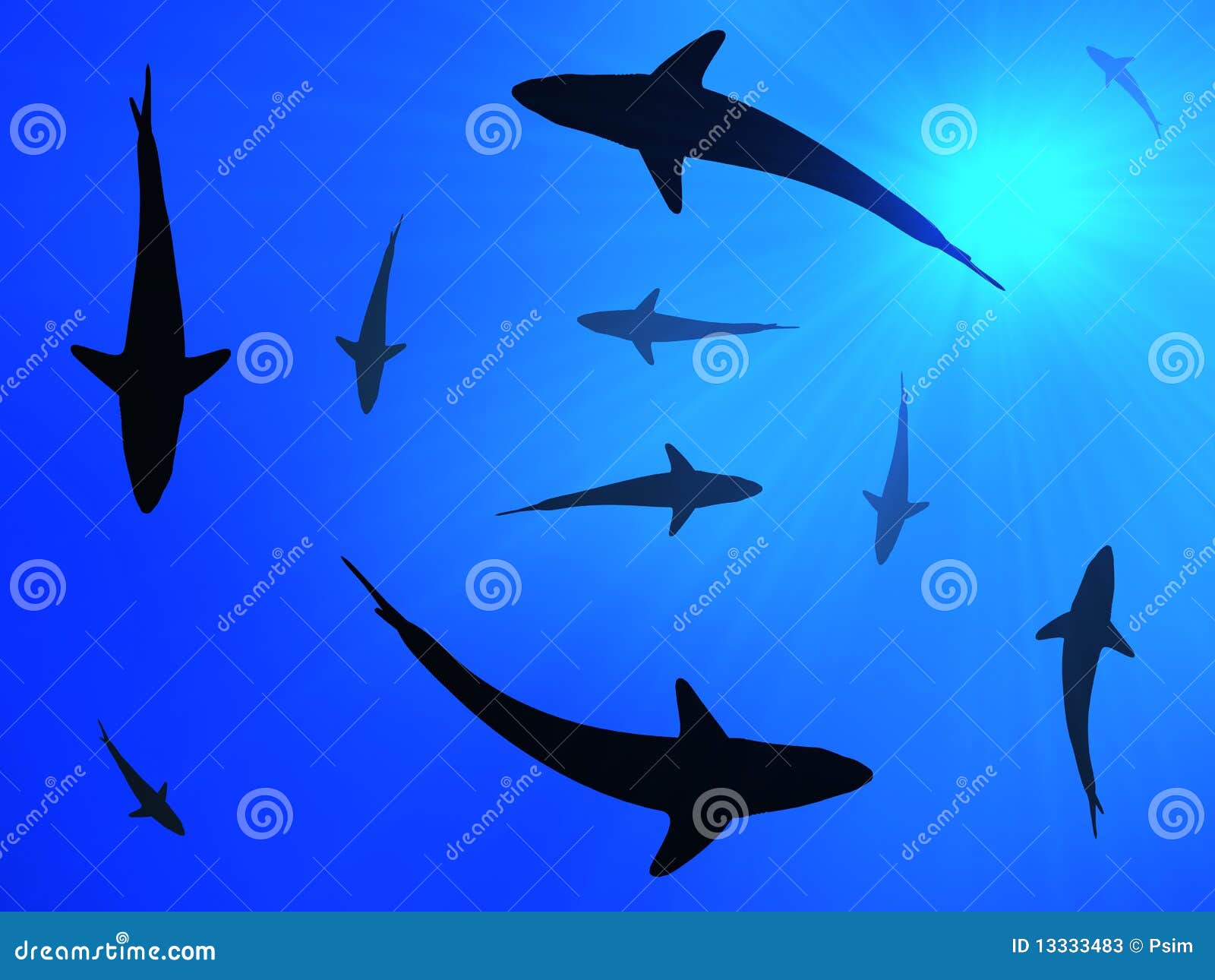 Sharks tropical, nhl, san jose sharks, HD wallpaper