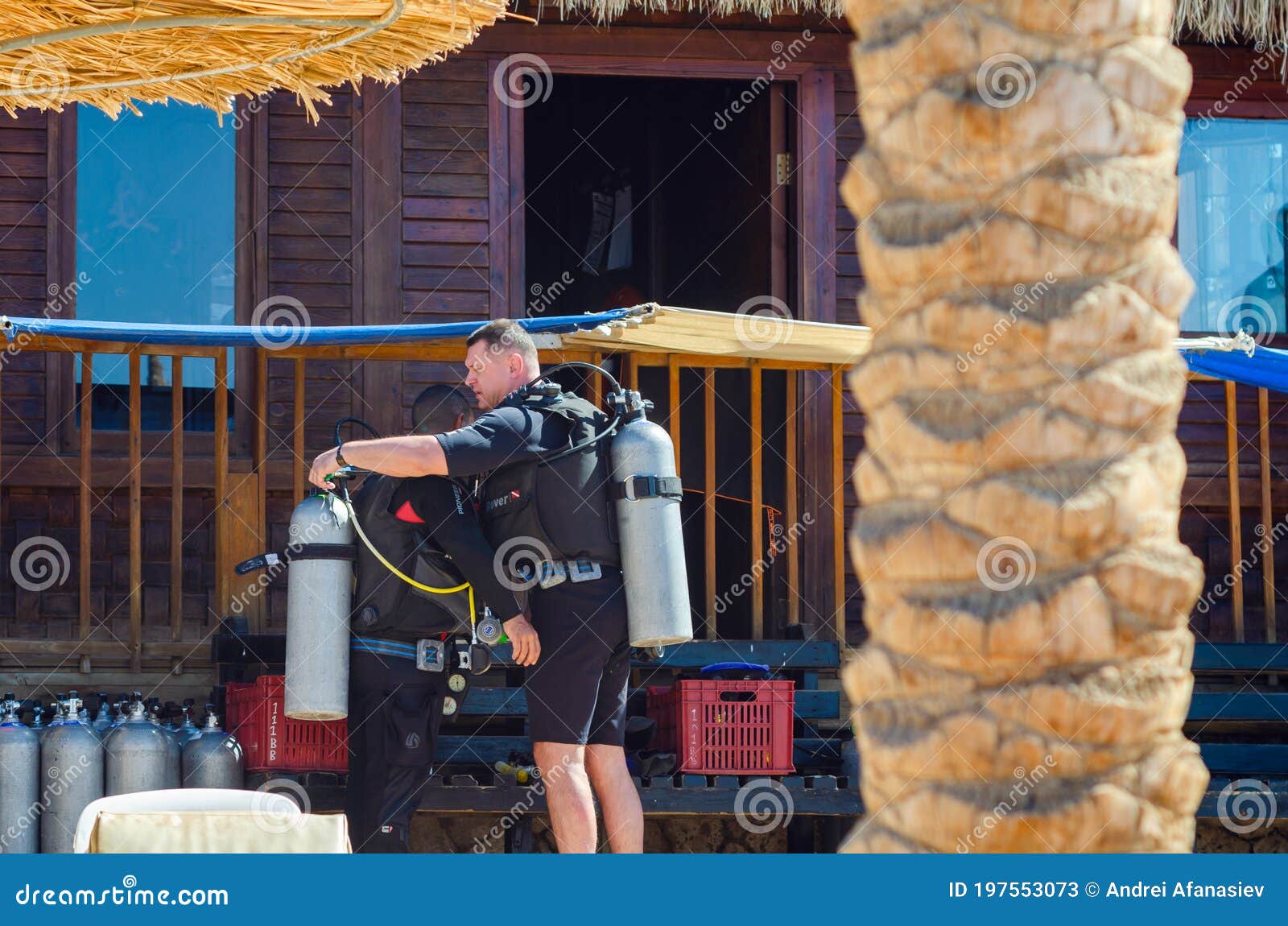Sharm El Sheikh, Egypt May 12, 2019 Divers in Wetsuits Check Equipment