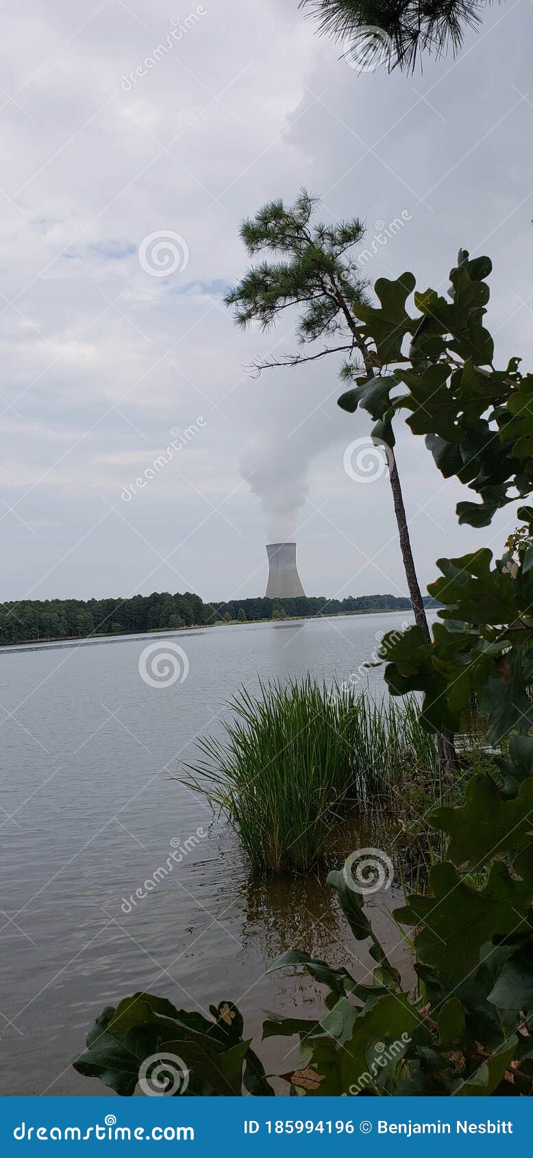 Sharon Harris Lake stock photo. Image of grass, winter 185994196
